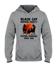 LIMITED EDITION - T SHIRT 10700A Hooded Sweatshirt tile
