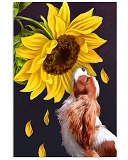 Cavalier sunflower 11x17 Poster front