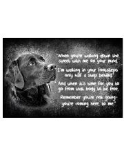 Labrador behind 17x11 Poster front