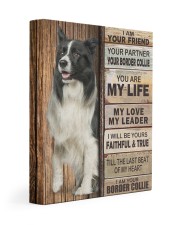Border Collie partner Gallery Wrapped Canvas Prints tile