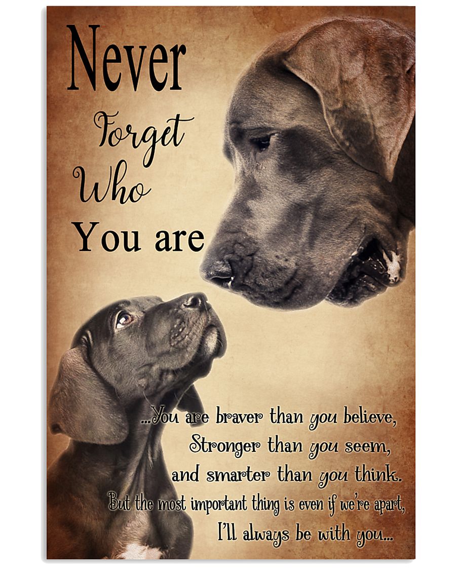 GREAT DANE NEVER 11x17 Poster