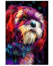 Shih tzu color 11x17 Poster front