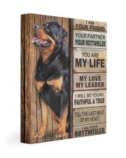 Rottweiler Partner Gallery Wrapped Canvas Prints tile