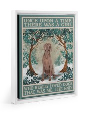 Weimaraner 11x14 White Floating Framed Canvas Prints thumbnail