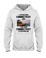 I Am Missing Connecticut Hooded Sweatshirt tile