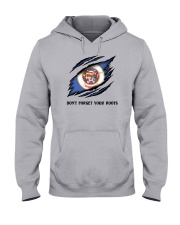 Don't Forget Your Roots - Minnesota Hooded Sweatshirt front