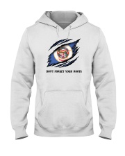 Don't Forget Your Roots - Minnesota Hooded Sweatshirt tile