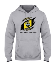 Don't Forget Your Roots - Pittsburgh Hooded Sweatshirt front