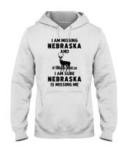Nebraska Is Missing Me Hooded Sweatshirt tile