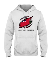 Don't Forget Your Roots - Ontario Hooded Sweatshirt tile