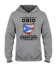 LIVE IN OHIO PUERTO RICO IN MY DNA Hooded Sweatshirt tile
