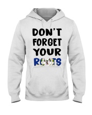 Connecticut Flag Don't Forget Your Roots Hooded Sweatshirt tile