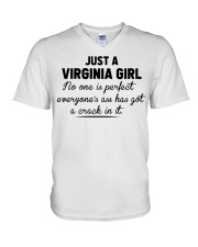 Virginia Girl - No One Is Perfect V-Neck T-Shirt tile
