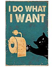 I Do What I Want 11x17 Poster front