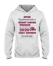 2020 Hooded Sweatshirt front