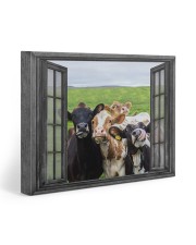 Cows 20x16 Gallery Wrapped Canvas Prints front