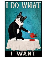 I Do What I Want 11x17 Poster front