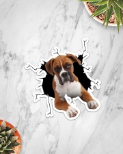 Boxer Crack Sticker - Single (Vertical) aos-sticker-single-vertical-lifestyle-front-06