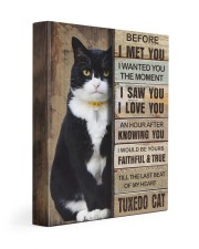 Cat will be waiting at the door - Beige color 11x14 Gallery Wrapped Canvas Prints front