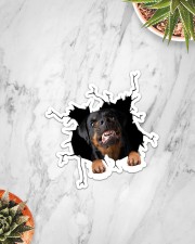 Rottweiler Crack Sticker - Single (Vertical) aos-sticker-single-vertical-lifestyle-front-06