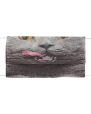 British Shorthair Cloth face mask front