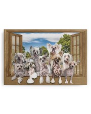 Chinese crested 30x20 Gallery Wrapped Canvas Prints aos-canvas-pgw-30x20-ghosted-front-02