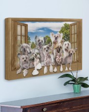 Chinese crested 30x20 Gallery Wrapped Canvas Prints aos-canvas-pgw-30x20-lifestyle-front-01