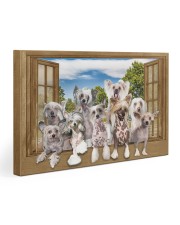 Chinese crested 30x20 Gallery Wrapped Canvas Prints front