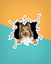 Shetland Sheepdogs Crack Sticker - Single (Vertical) aos-sticker-single-vertical-lifestyle-front-02
