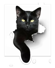 Black Cat Sticker - Single (Vertical) front