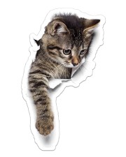 Cute cat Sticker - Single (Vertical) front
