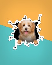 Havanese Crack Sticker - Single (Vertical) aos-sticker-single-vertical-lifestyle-front-02