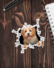 Havanese Crack Sticker - Single (Vertical) aos-sticker-single-vertical-lifestyle-front-05