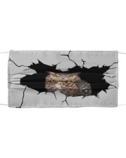 Owl Crack Cloth face mask front