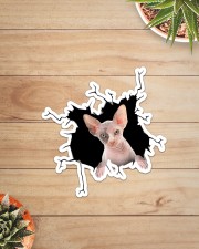 Sphynx Sticker - Single (Vertical) aos-sticker-single-vertical-lifestyle-front-07