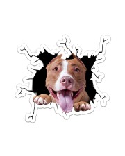 Pitbull Crack Sticker tile