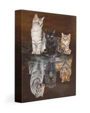 3 Cats 11x14 Gallery Wrapped Canvas Prints front