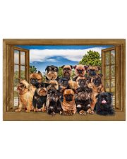 Brussel griffon 36x24 Poster front