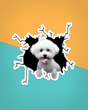 Bichon Frise Crack Sticker - Single (Vertical) aos-sticker-single-vertical-lifestyle-front-02