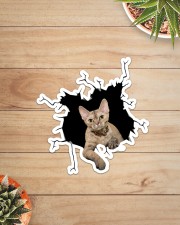 Devon Rex Sticker - Single (Vertical) aos-sticker-single-vertical-lifestyle-front-07