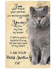 I Am British Shorthair 11x17 Poster front