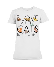 I Love All The Cats In The World Premium Fit Ladies Tee tile