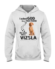 God sent me a Vizsla Hooded Sweatshirt front