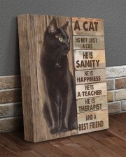 A cat is not just a cat 11x14 Gallery Wrapped Canvas Prints aos-canvas-pgw-11x14-lifestyle-front-10