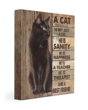 A cat is not just a cat 11x14 Gallery Wrapped Canvas Prints front