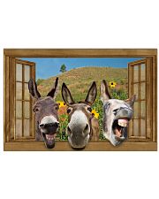Donkey 36x24 Poster front