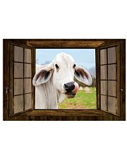 Cow 17x11 Poster front