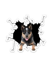 Australian Cattle Dog Sticker - Single (Vertical) front