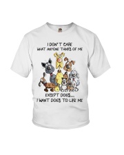 I want dogs to like me Youth T-Shirt tile