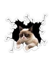 Grumpy cat Sticker - Single (Vertical) front